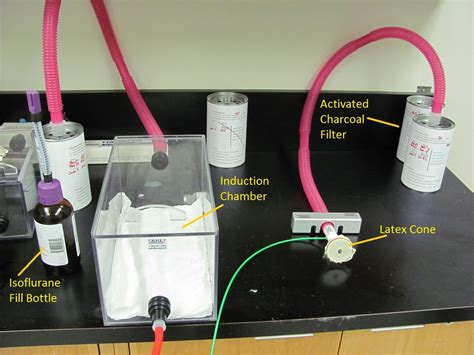 isoflurane chamber empty pipette box|isoflurane exhaust ventilation system.